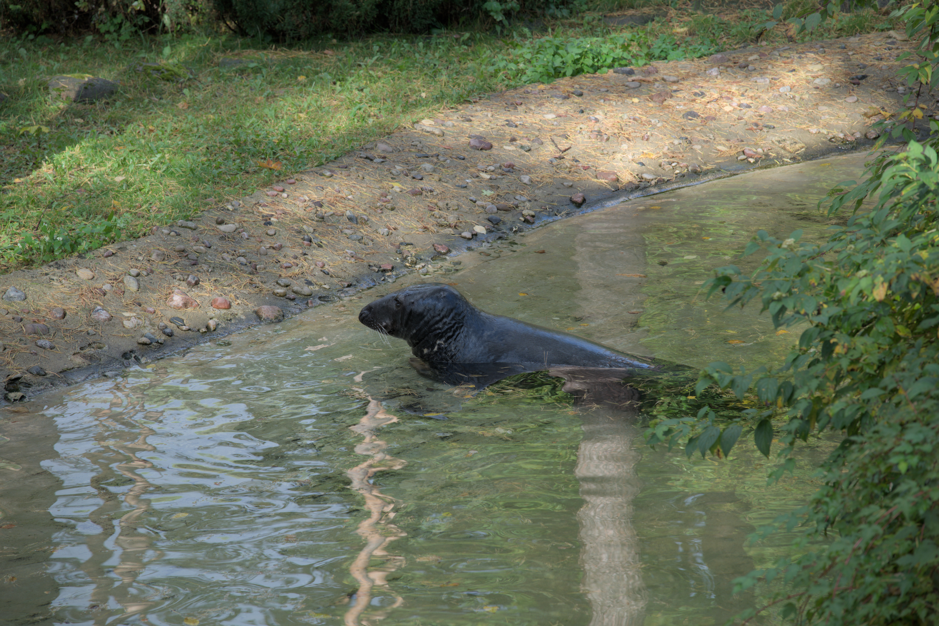 2025/10/12 - zoo/DSC_0004.jpg